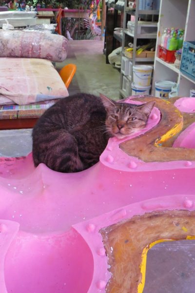 Let’s go through the Chichi ® sanding process, with Boots the cat!
