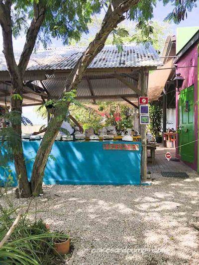 Cakes & Pumps writes article on Chichi