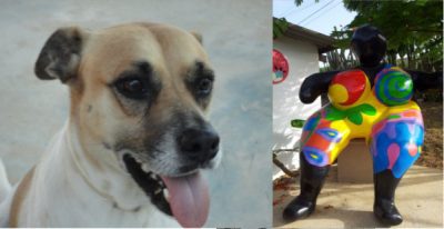 A Stroll Down Memory Lane with Bambi the Dog