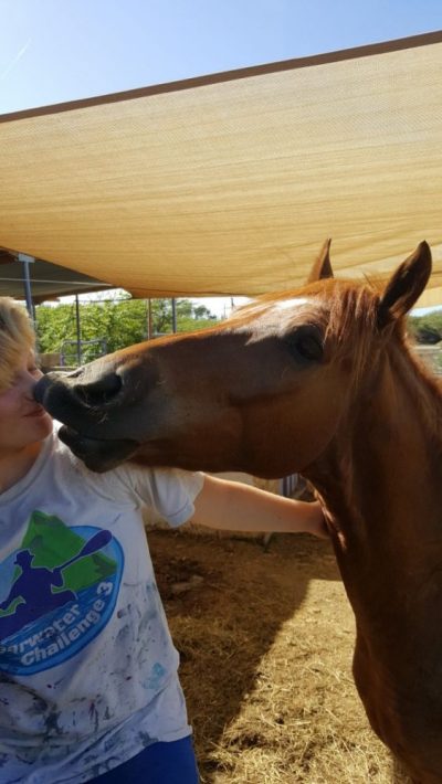 Dakota, the awesome therapy horse