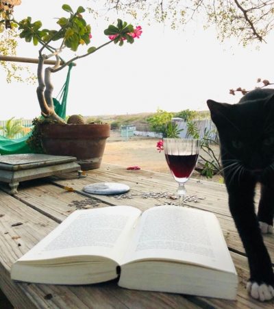 Work from home, 4th week